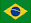 Fortem International - Brasil